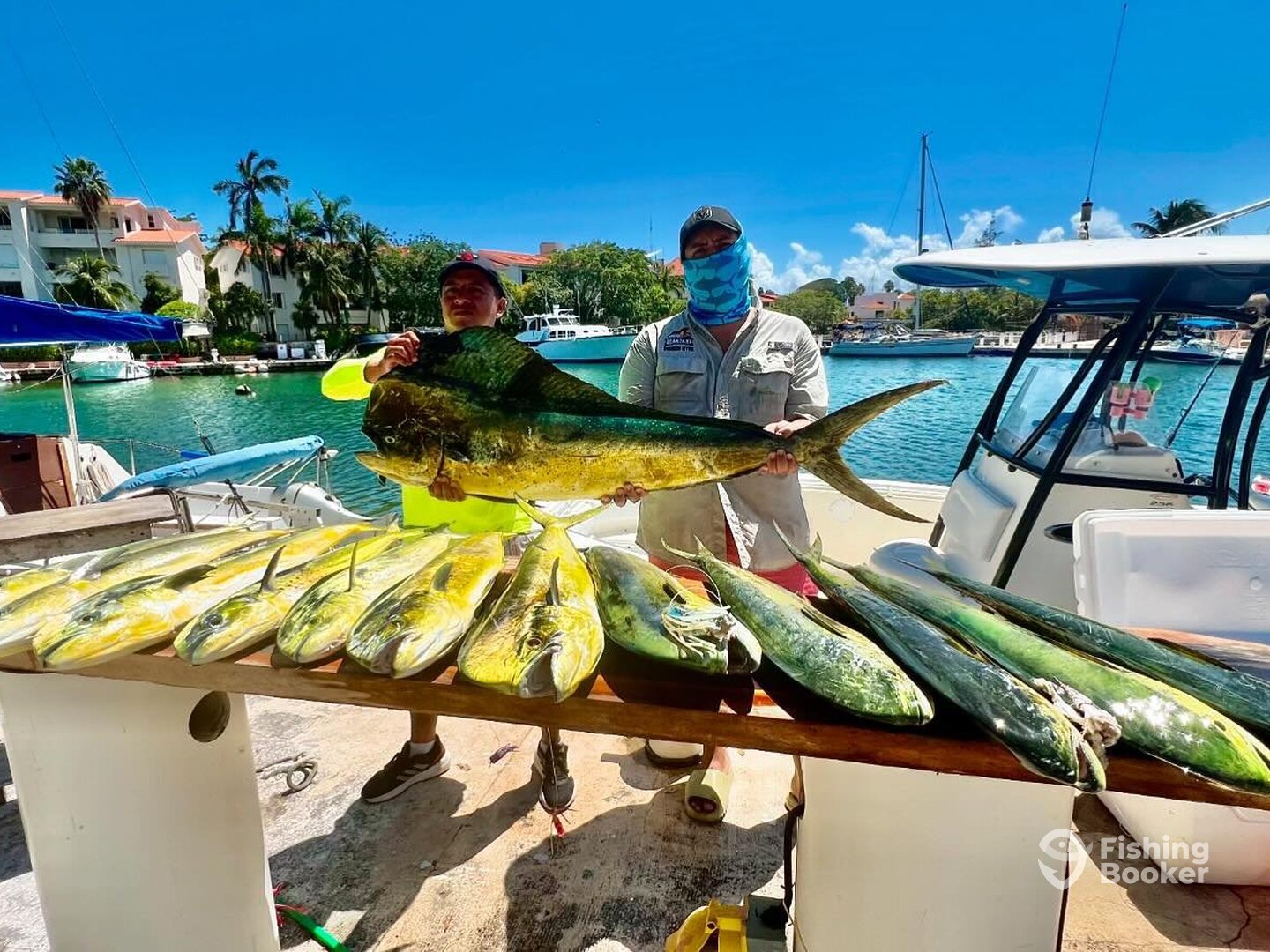 Puerto Aventuras Report Photo 0