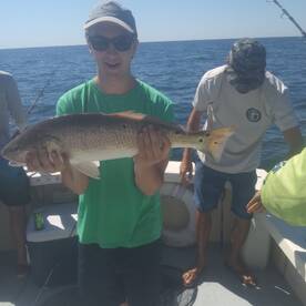 Folly Beach Report Photo 1