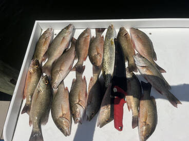 Summer time fishing!