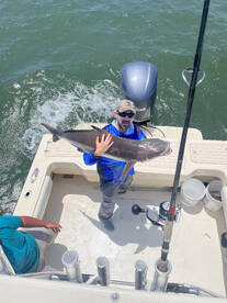 More Great Cobia action