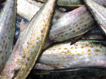 Sometimes a plan goes too well!