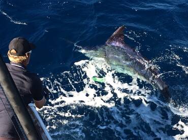 Ambition report 9th. May' 17