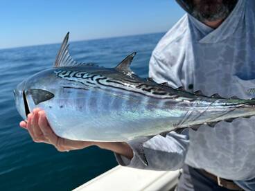 Charleston Report Photo 2