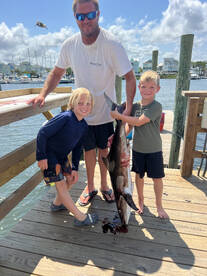 Big king mackerels and cobias