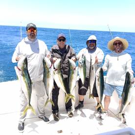 Ensenada Report Photo 2