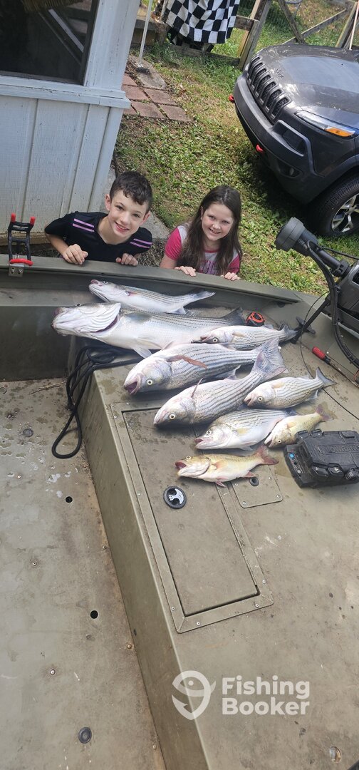 Oakman Report Photo 0