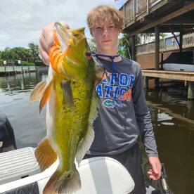 Delray Beach Report Photo 1