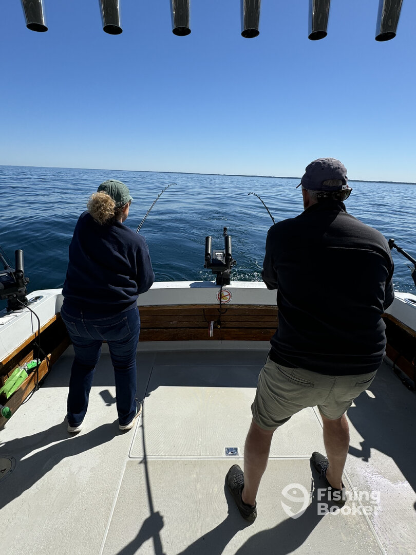 South Haven Report Photo 0