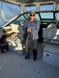 South Haven Report Photo 2