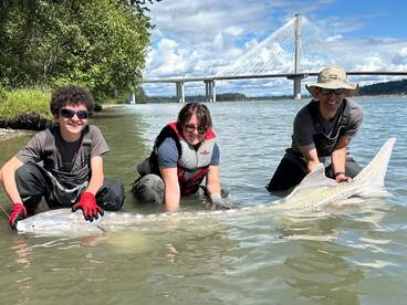 14 year old scores a very big sturgeon!
