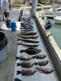 St. Augustine Report Photo 2