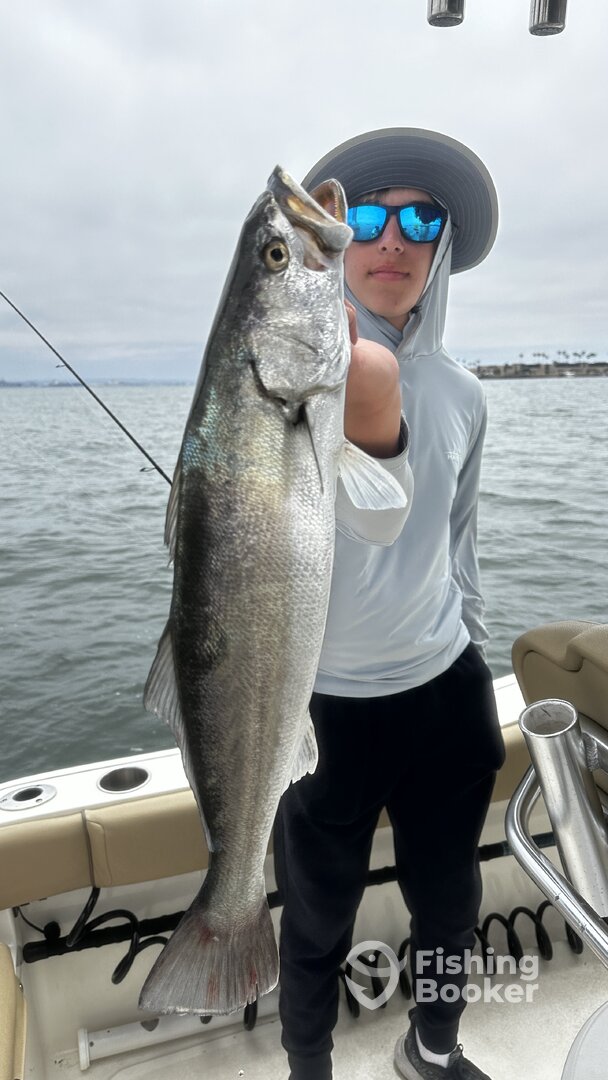 San Diego Report Photo 0