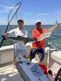 Cobia and SpadeFish 