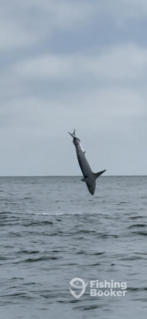 San Diego Report Photo 0