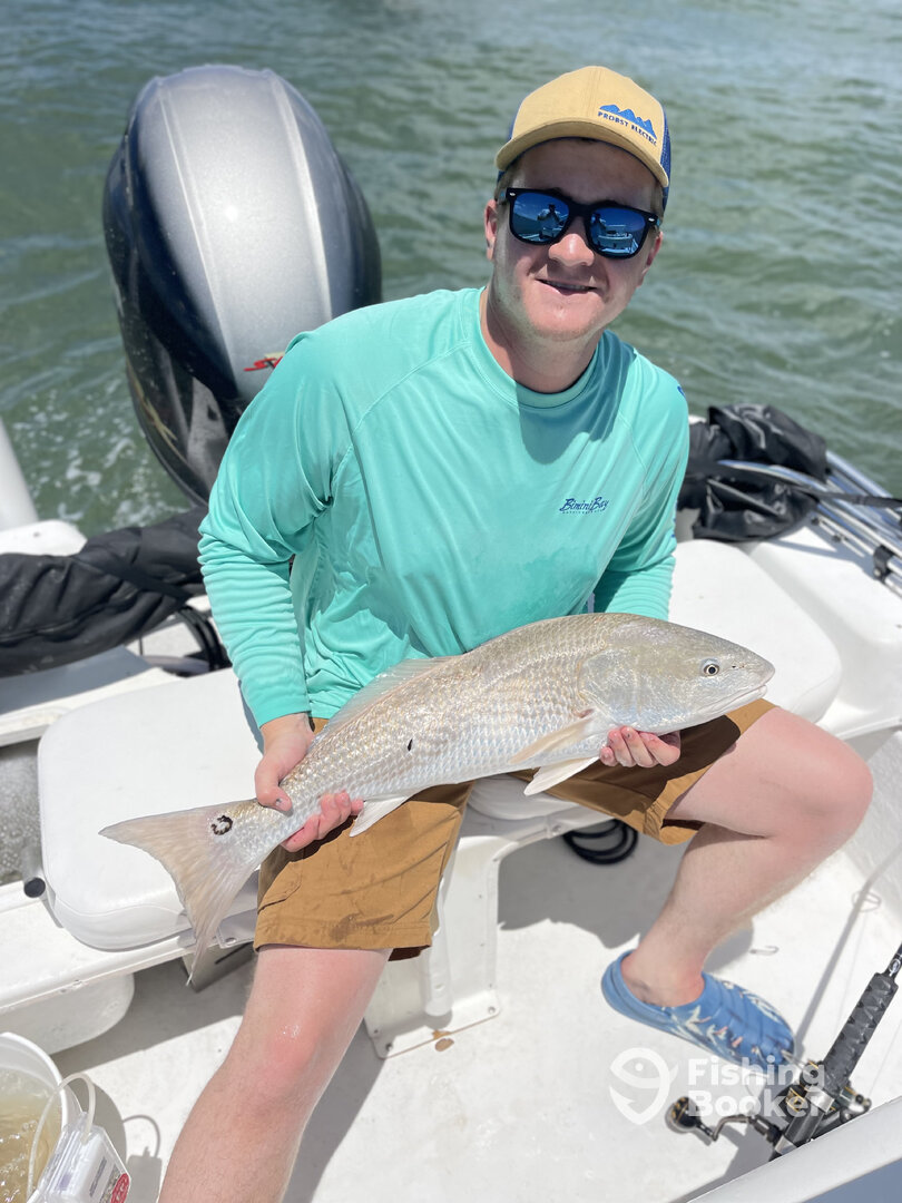 Orlando Report Photo 0