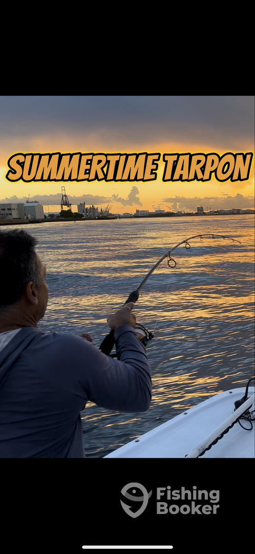 Fort Lauderdale Report Photo 0