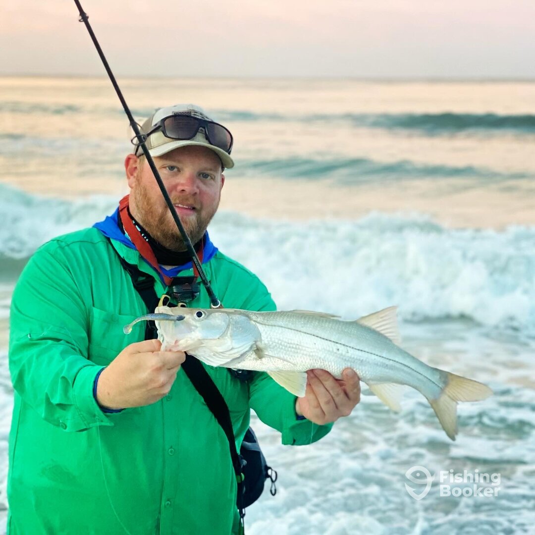 Palmetto Report Photo 0