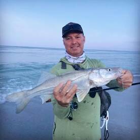 Palmetto Report Photo 1