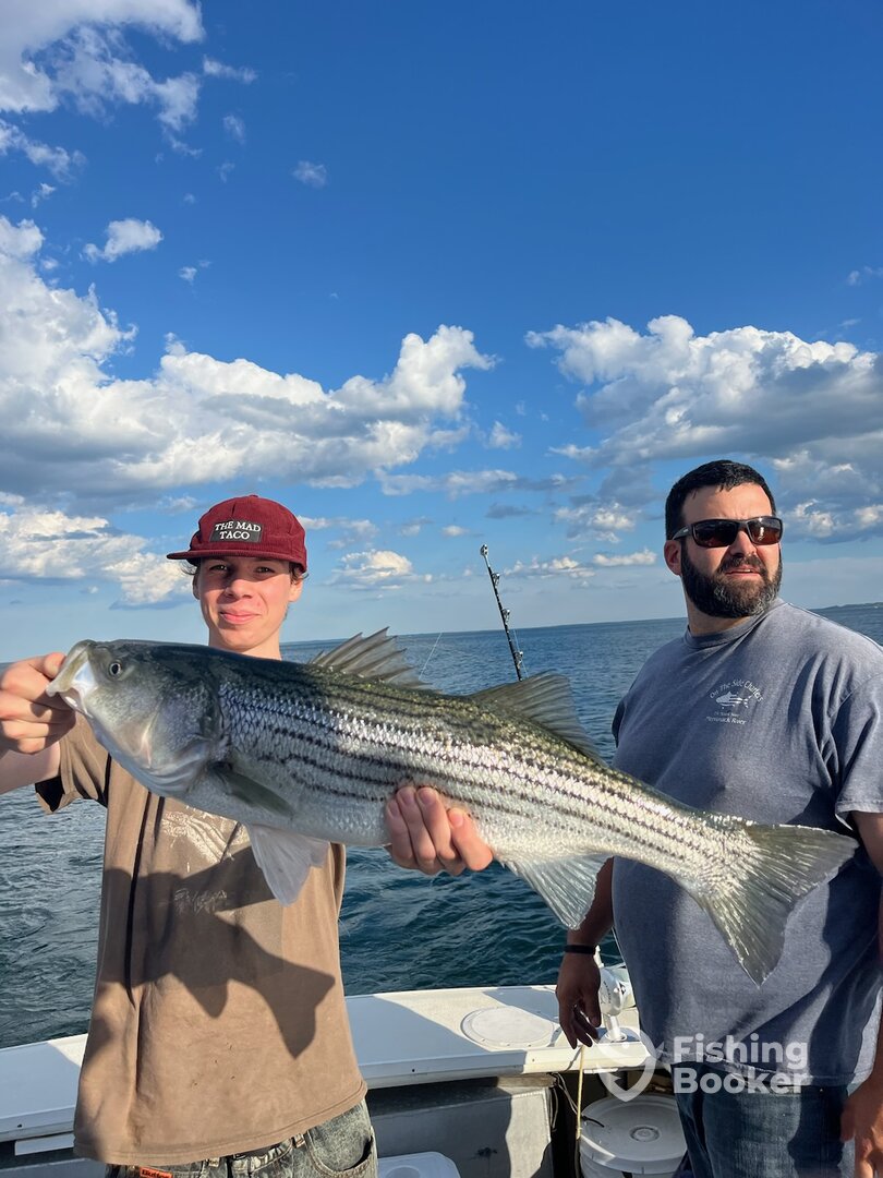 Newburyport Report Photo 0