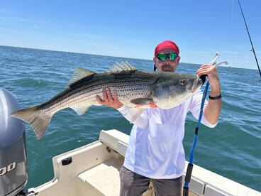 Montauk Report Photo 2