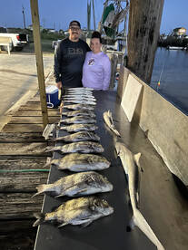 Bolivar Peninsula Report Photo 1