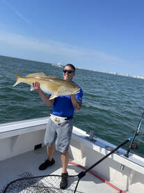 Virginia Beach Report Photo 2