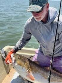 Chincoteague Report Photo 1