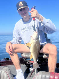 Buffalo Report Photo 2