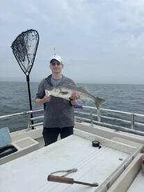 Montauk Report Photo 1