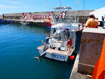 Blue Marlin World Cup 4th July.