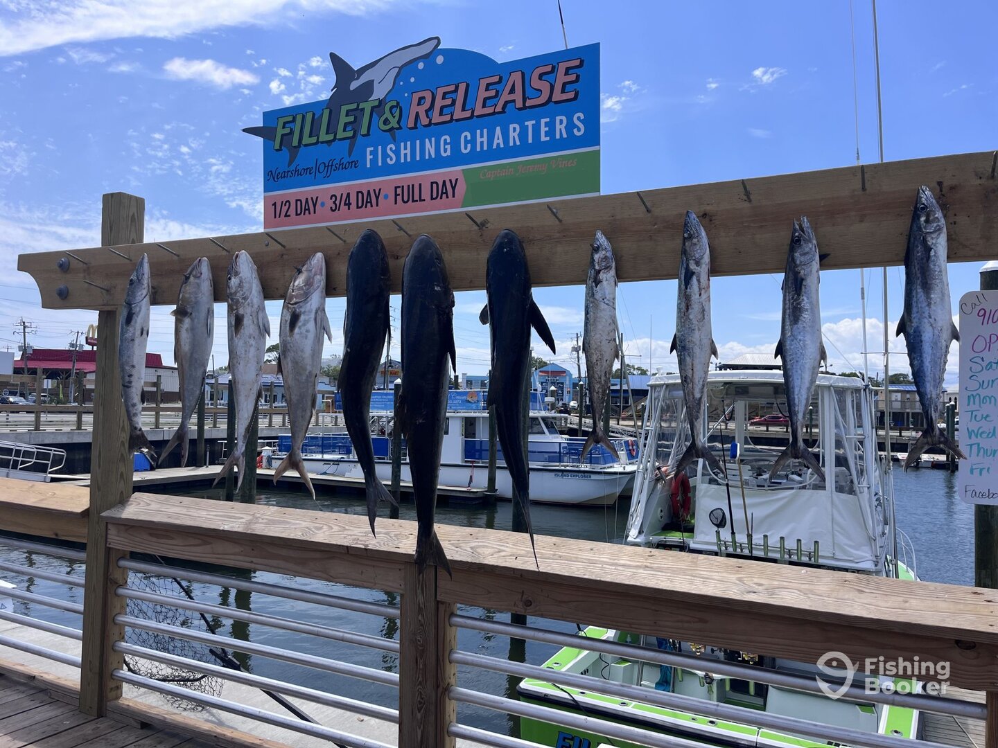 Carolina Beach Report Photo 0