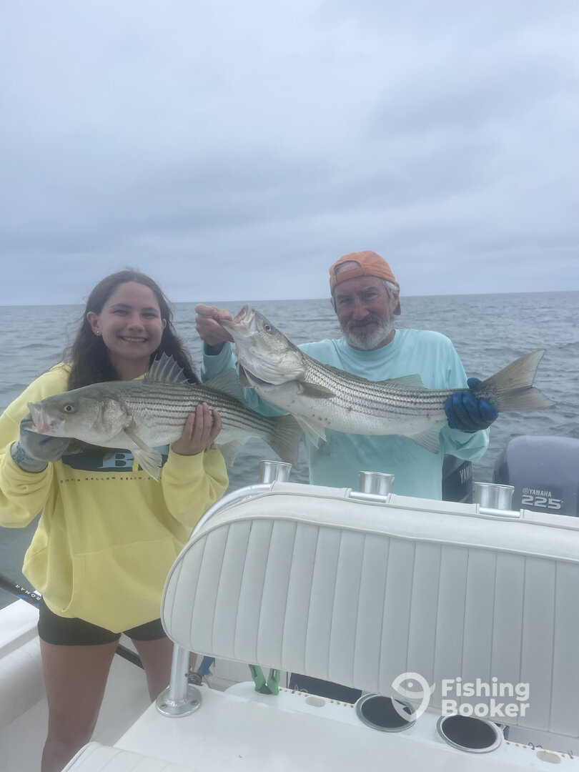 Dennis Report Photo 0