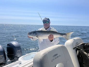 Dennis Report Photo 1