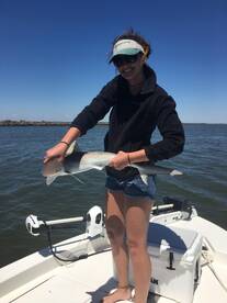 Mount Pleasant Report Photo 2