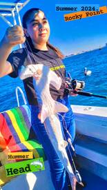 Catch and realized Hammer head Shark.