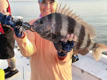 Houston Report Photo 2