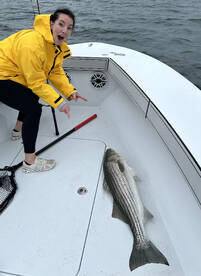 Dennis Report Photo 1