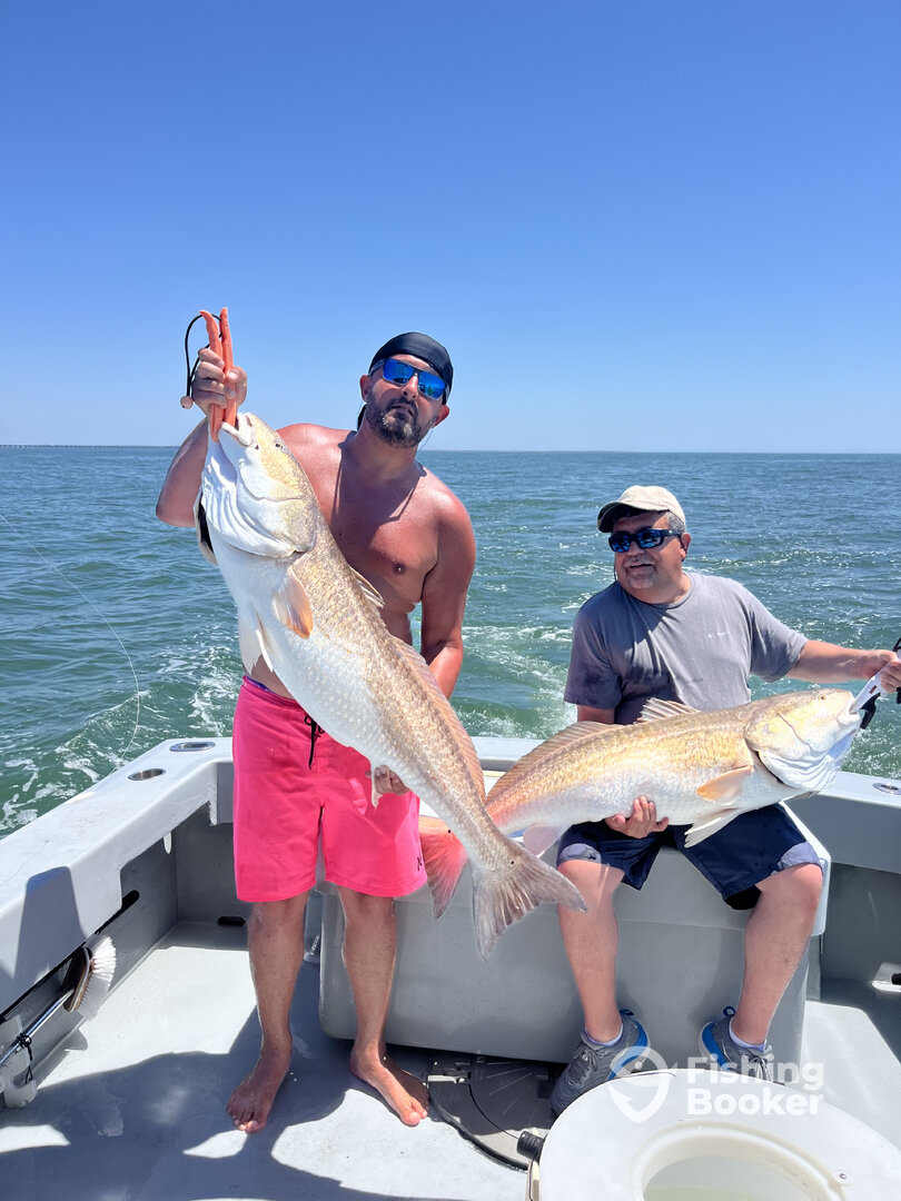 Virginia Beach Report Photo 0