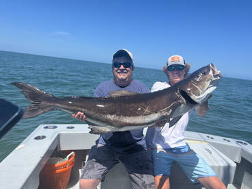 Virginia Beach Report Photo 1