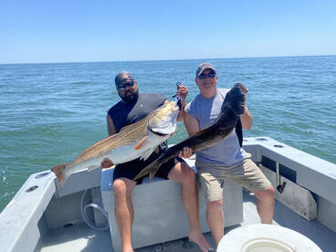 Virginia Beach Report Photo 2