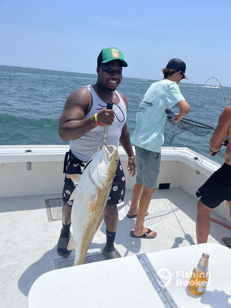 Virginia Beach Report Photo 0