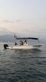 Nuevo Vallarta Report Photo 2