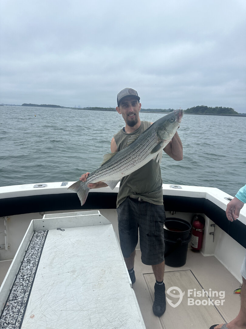 Beverly Report Photo 0