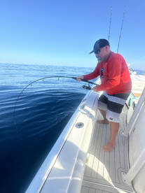 Edgewater Report Photo 2