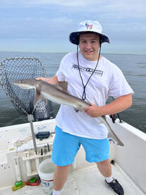 Highlands Report Photo 2