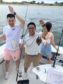 New York City Report Photo 2