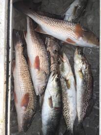 Different conditions / Different day