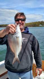 Southold Report Photo 2