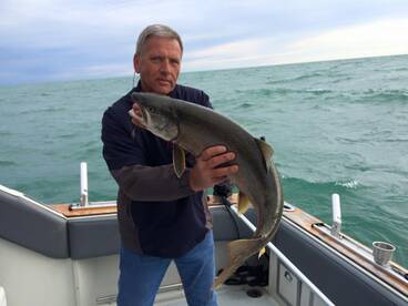 St. Catharines Report Photo 1