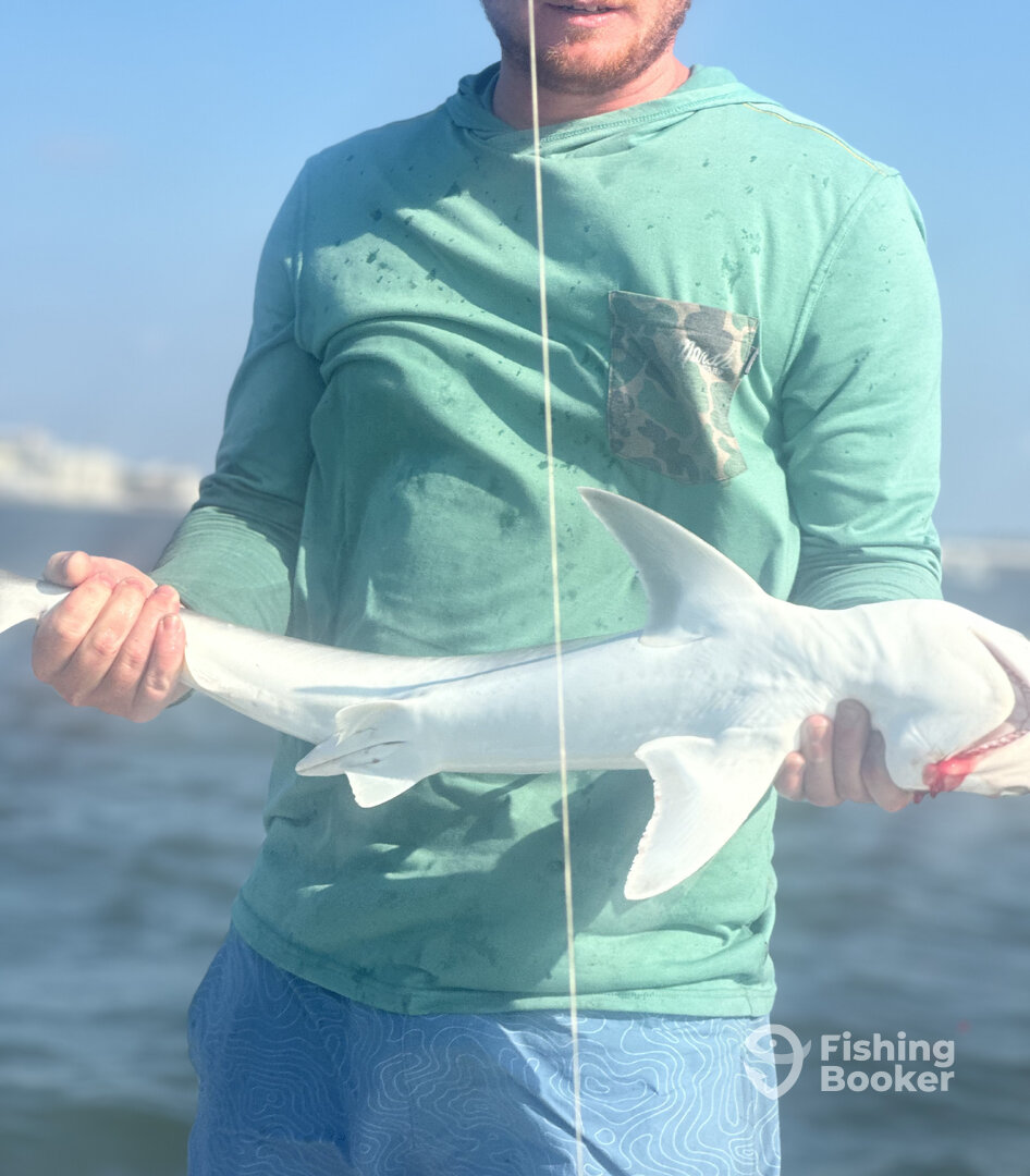 Mount Pleasant Report Photo 0